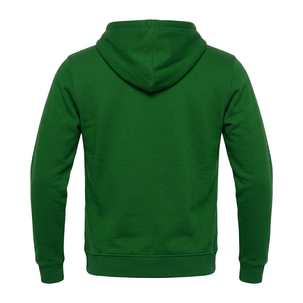 BLUSA DE MOLETOM BETEL PALMEIRAS LEGADO JUVENIL - Visualizacao 2